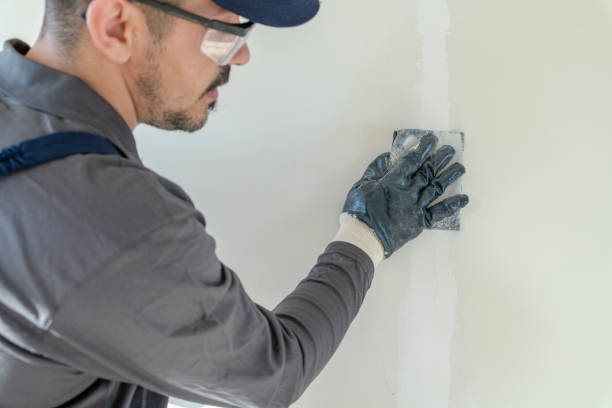 Best Wallpaper Removal and Painting  in Catlin, IL